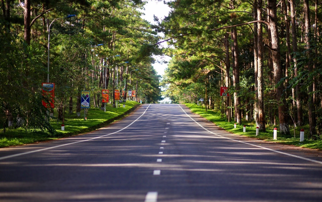Rừng thông Măng Đen, "Đà Lạt thu nhỏ" ở Kon Tum làm phải lòng du khách